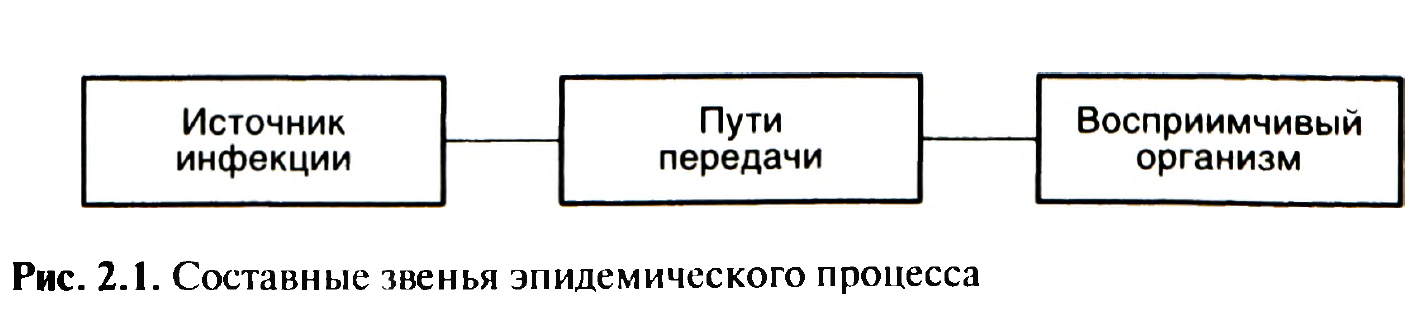 восприимчивого организма человека, в свою очередь становящегося источником инфекции для следующего цикла циркуляция возбудителя (рис. 2.1).